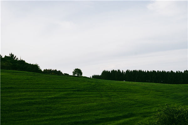 小型測(cè)土儀