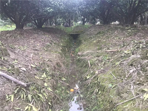 哪一家的土壤養(yǎng)分速測(cè)儀好用？理論功能多少錢一臺(tái)？