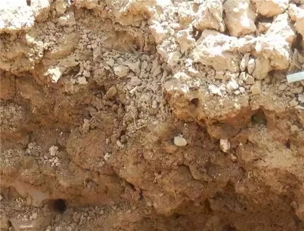 土壤養(yǎng)分分析儀測(cè)定土壤中總氮含量 土壤養(yǎng)分分析儀測(cè)定土壤中總氮含量