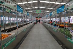 土壤水分速測儀如何分析水分的變化規(guī)律？